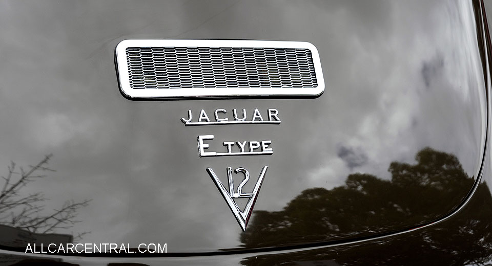 Jaguar E Type 2 plus 2 V12 1976  Corte Madera Centennial Vintage Car Show 2016
