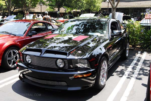 Ford Mustang California Special 2007