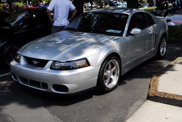 Ford Mustang Cobra 10th Year Anniversary 2003 2008 Ford Mustang Car Show