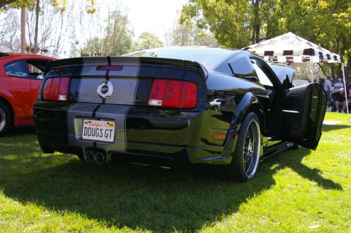 Ford Mustang GT Sn-1ZVHT82H175259988 2007