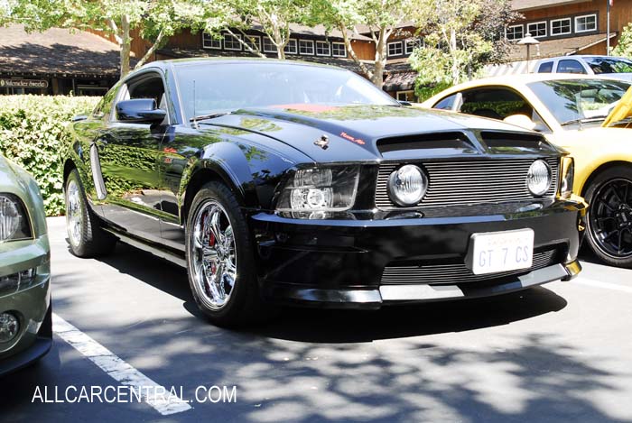 Ford Mustang sn-1ZVHT82H175279710 2007