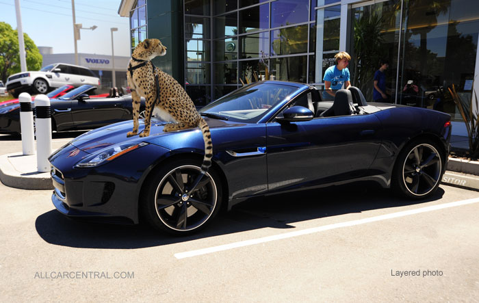 Jaguar F Type S Roadster 2014