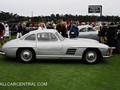 14-Mercedes-Benz_300_SL_Gullwing_1955_PBC0451_PB_concours_2011