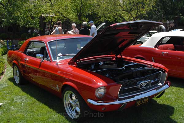 Ford Mustang 1967 Yountville California 2007