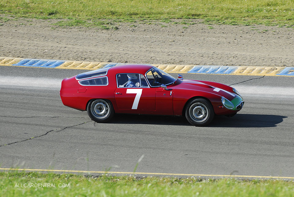 Alfa Romeo TZ sn-10511AR-750060 1964
CSRG David Love Memorial Sonoma 2016