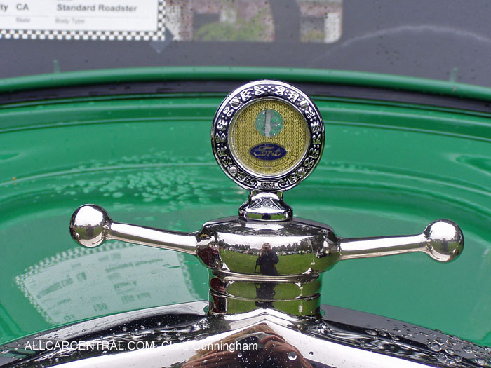 Car Radiator Mascots