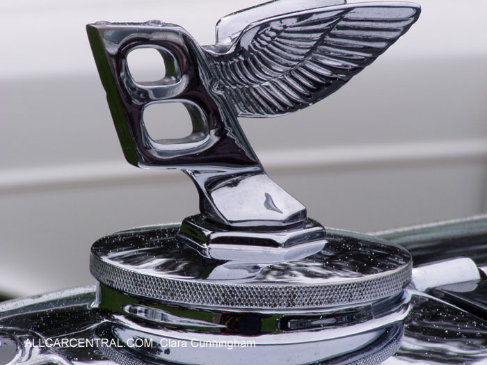 Car Radiator Mascots