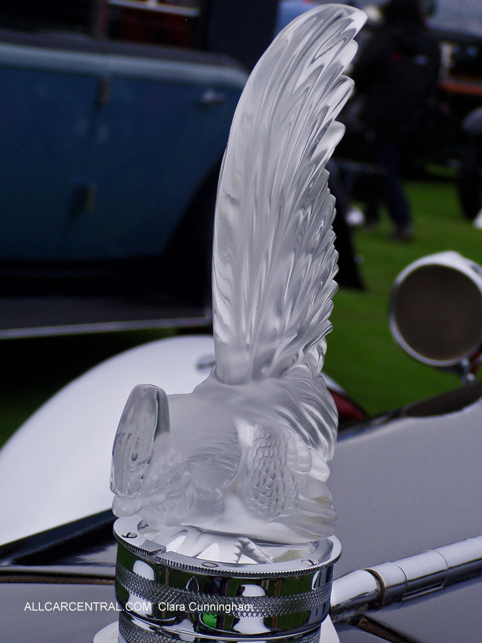 Car Radiator Mascots