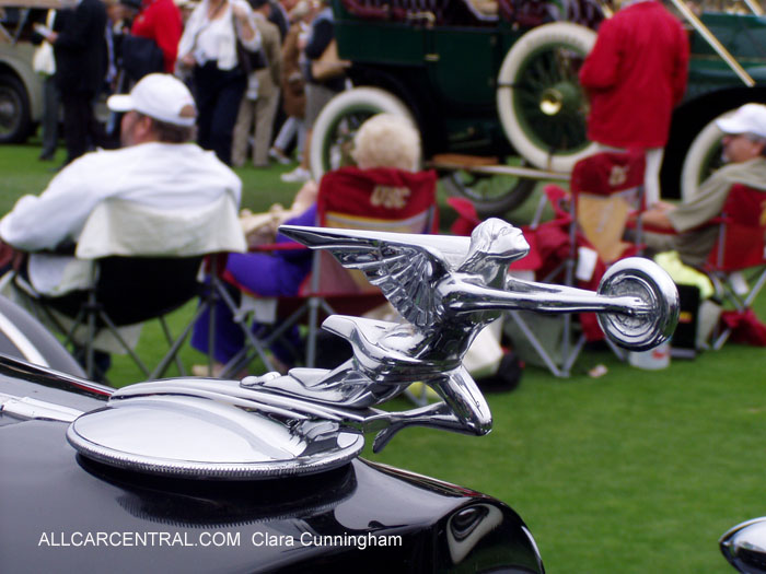 Car Radiator Mascots