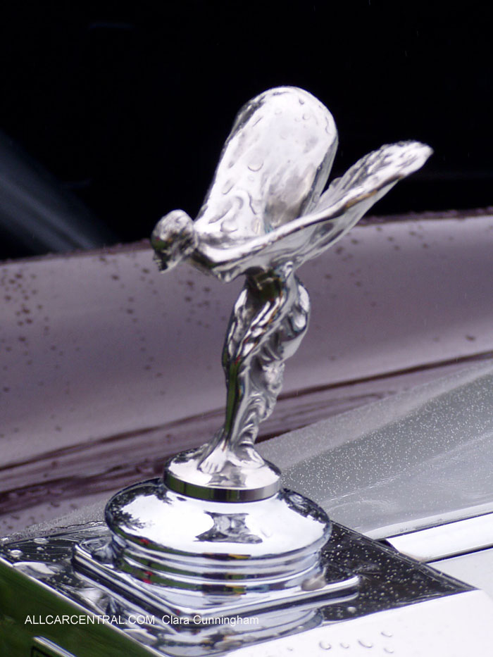 Car Radiator Mascots