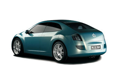 ChangAn Chinese Sturgeon 2010