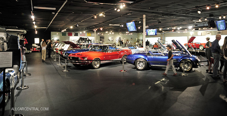  Cobra Experience Museum 