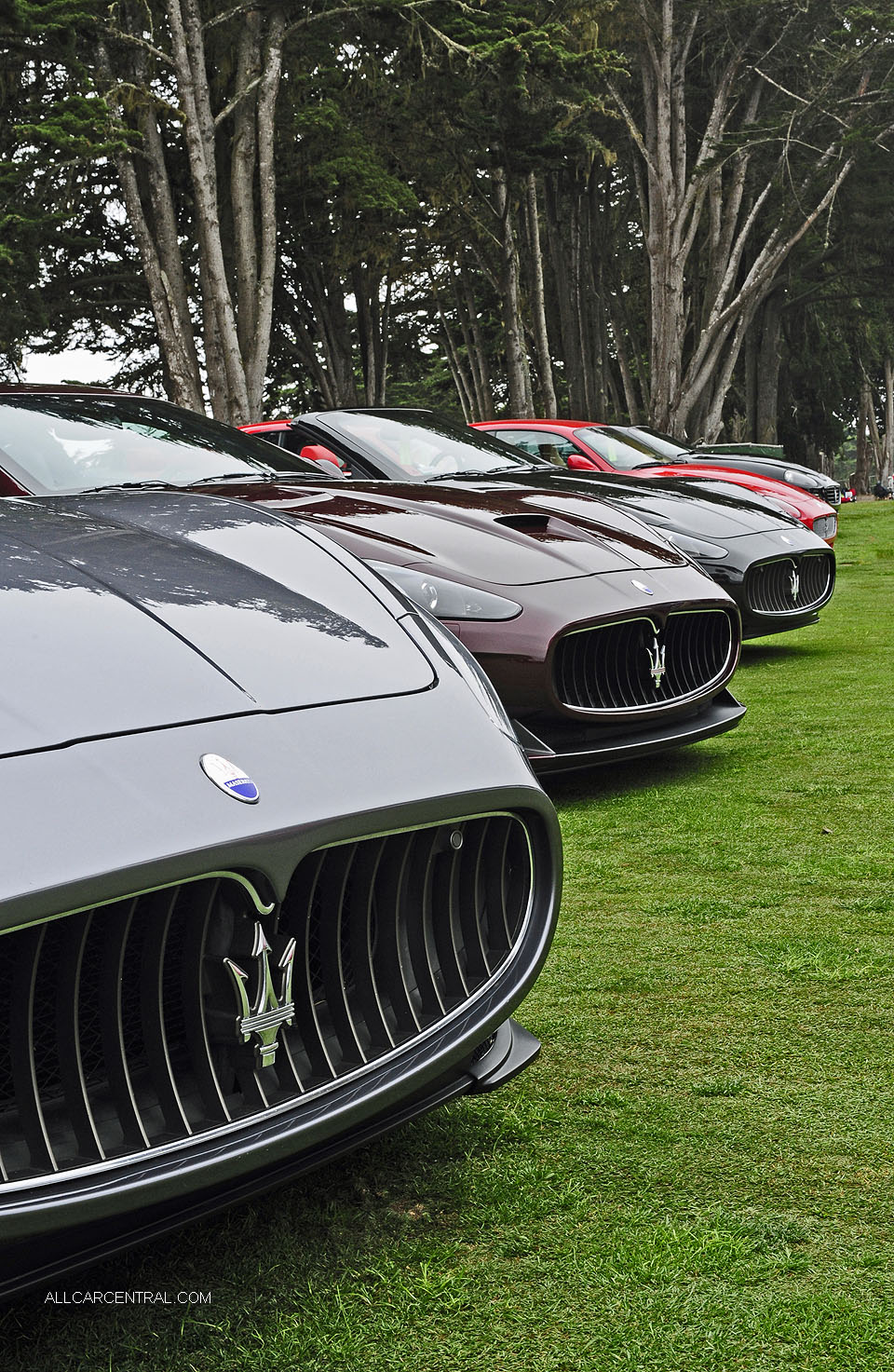  Concorso Italiano 2016 MRT3200 