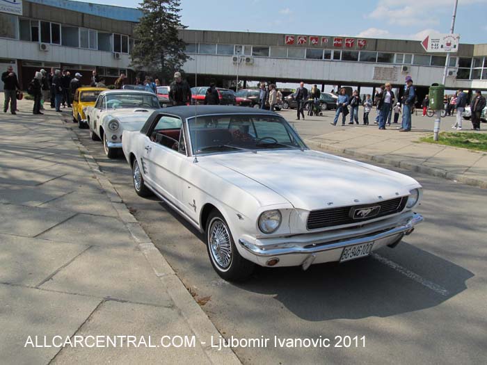 Cveti Family Patron's Day Belgrade 2011