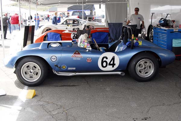 Devin Echidna Special 1958