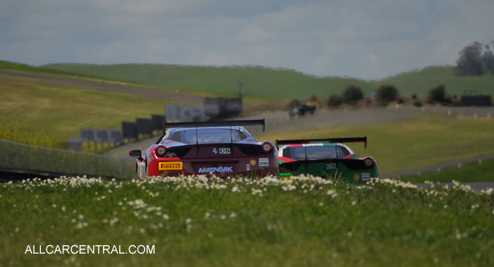 Ferrari Challenge Sonoma 2014
