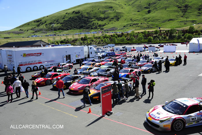 Ferrari Challenge Sonoma 2014