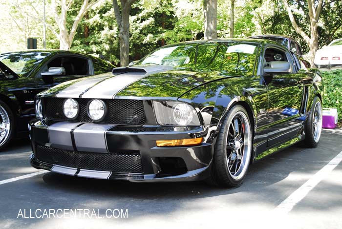 Ford Mustang GT Sn-1ZVHT82H175259988 2007