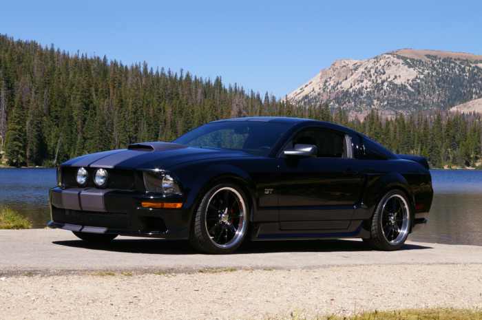 Ford Mustang GT Sn-1ZVHT82H175259988 2007