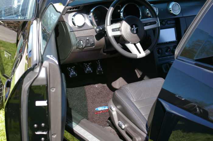 Ford Mustang GT Sn-1ZVHT82H175259988 2007