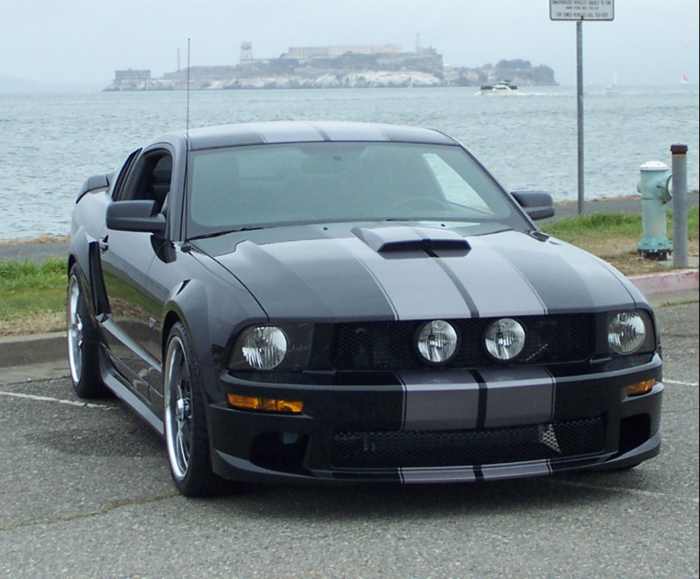 Ford Mustang GT Sn-1ZVHT82H175259988 2007