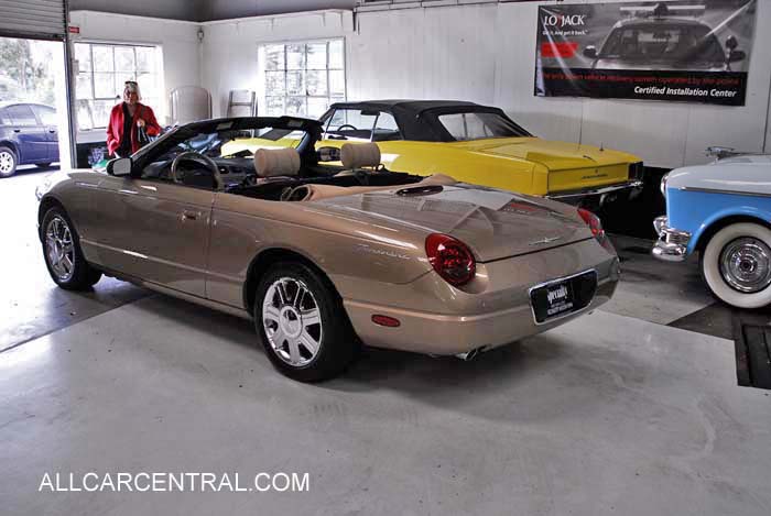 Ford Thunderbird sn-1FAHP60A45Y103060 2005