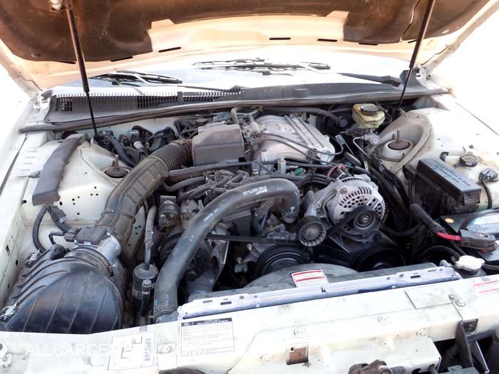 Ford Thunderbird sn-1FALP6249VH149503 1997