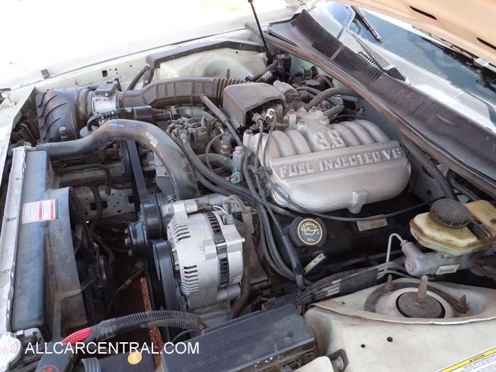 Ford Thunderbird sn-1FALP6249VH149503 1997