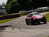 Goodwood Festival of Speed 2012 Tim Surman-6583