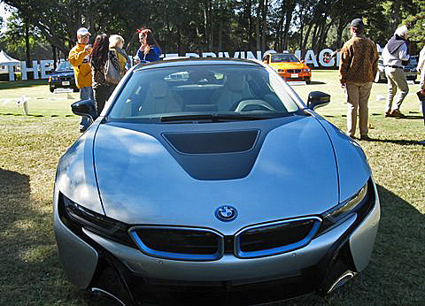 Hilton Head Island Concours de Elegance 2014