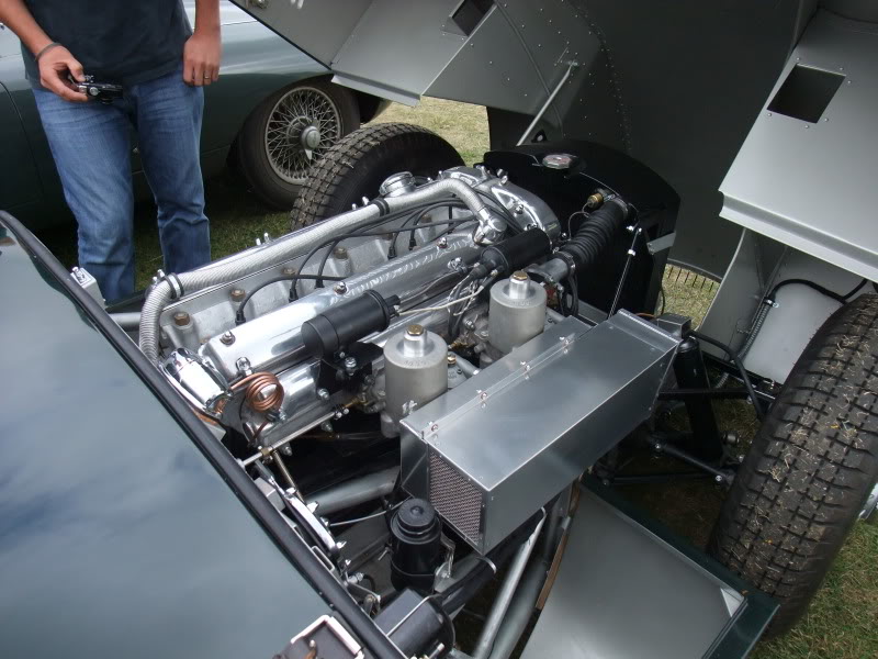 1953 Jag C-Type Long Nose Replica