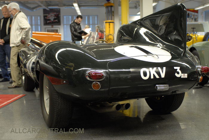 Jaguar D sn-XKD 404 1954