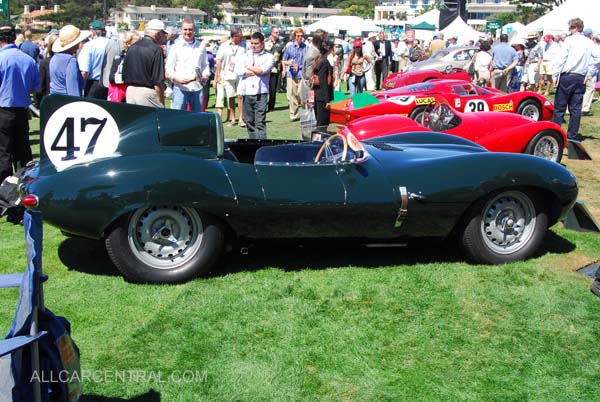 Jagur D Type 1955