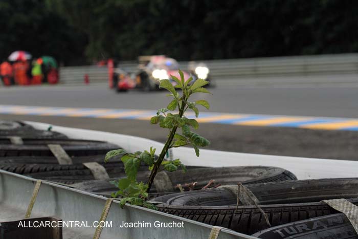 Le Mans 24Hr 2013