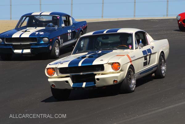 Shelby GT-350 1965 
