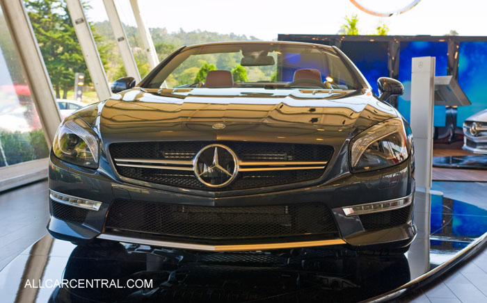 Mercedes-Benz SL63-Class AMG sn-WDDJK7EA8DF004007 2013