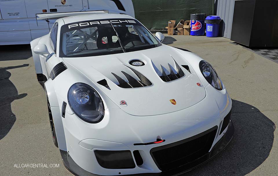Porsche 911GT3 Cup MR 991-2 2018 Rennsport VI 2018