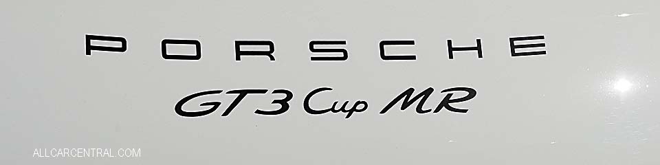 Porsche 911GT3 Cup MR 991-2 2018 Rennsport VI 2018