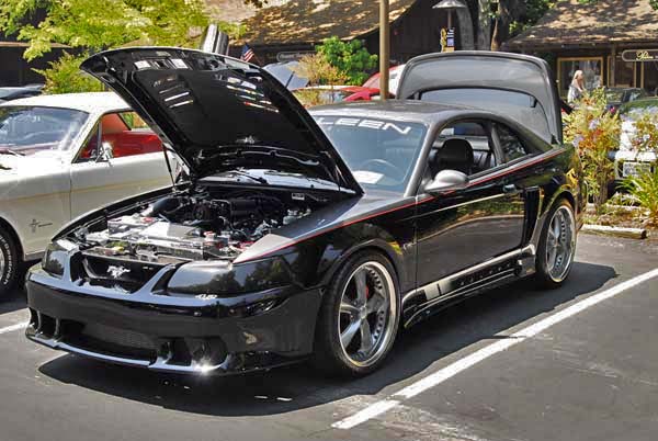 Saleen Ford Mustang sn-1FAFP42X92F193276 2002