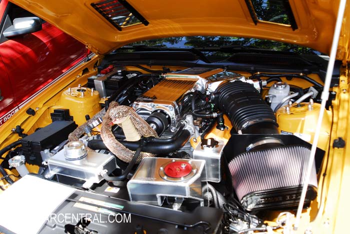 SHelby GT500 CSM08SS0419 sn-1ZVHT88S085153326 2008