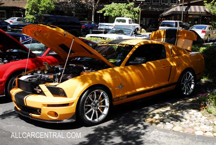 SHelby GT500 CSM08SS0419 sn-1ZVHT88S085153326 2008