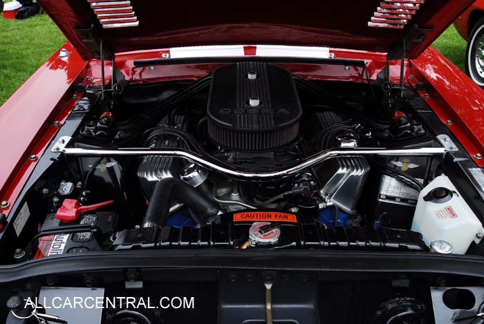 Shelby GT500 Fastback Sn-67401F2A02472 1967