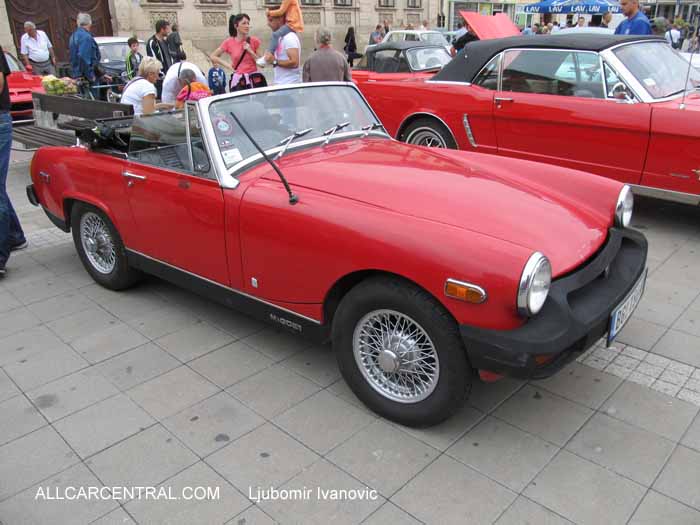 Sremska Mitrovica 2014