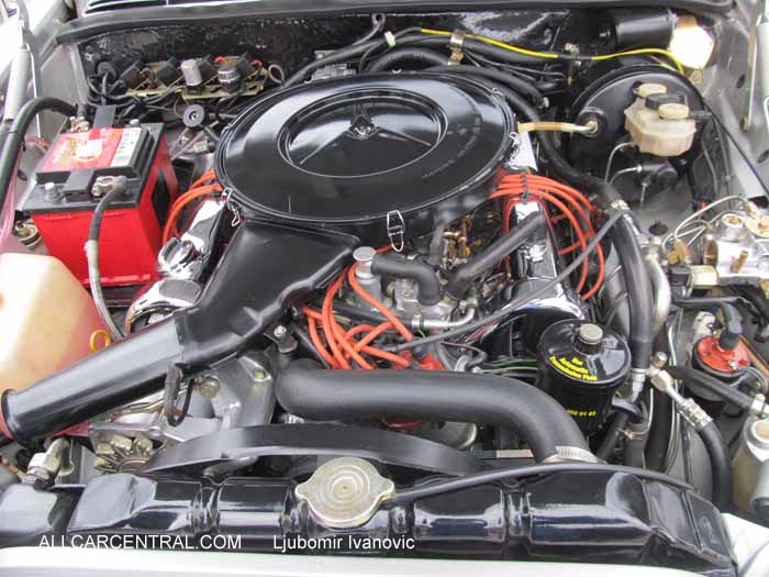 Sremska Mitrovica 2014