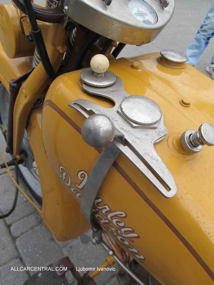 Sremska Mitrovica 2014