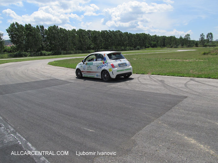Tesla Rally 2014 Serbia