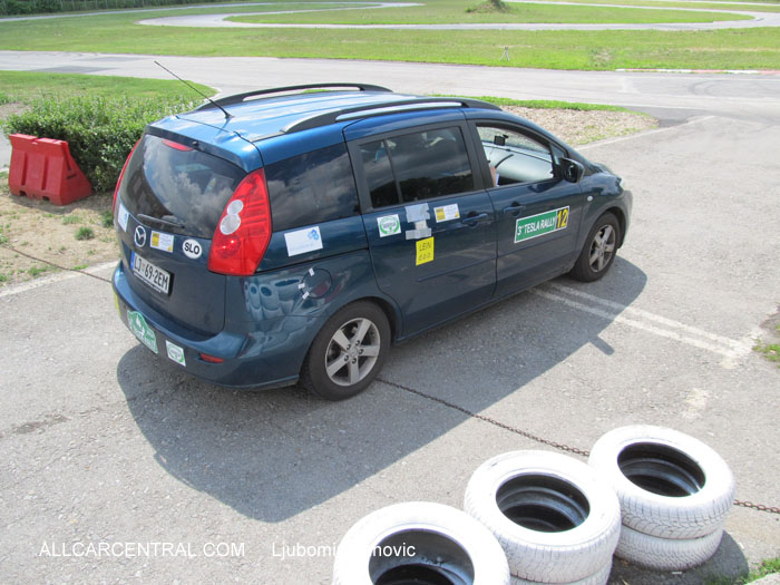 Tesla Rally 2014 Serbia