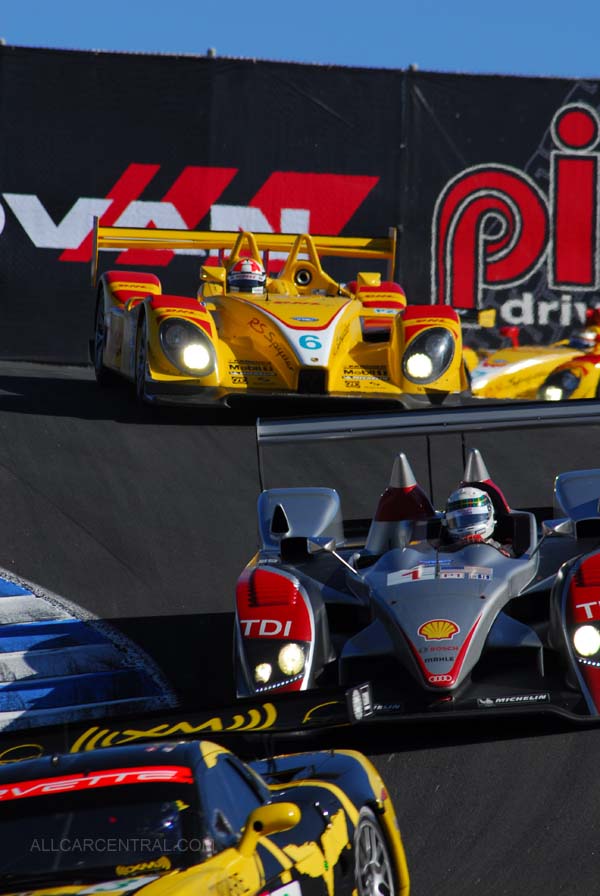 LMP1 Winner Audi AG/R 10/TDI  Season Finale, American Le Mans Series 2007