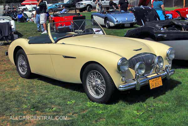 Austin Healey 100 1954