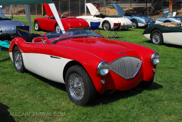 Austin Healey 100 1956